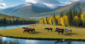 【念念喀納斯-三湖(hú)盡享】北疆精(jīng)華遊雙飛8日(ri)雙卧